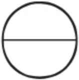 kimondo and co straps logo